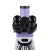 Микроскоп биологический MAGUS Bio D250TL