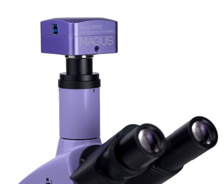 Микроскоп биологический MAGUS Bio D250TL