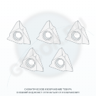 MTTR 435501 DM215 пластина резьбовая твердосплавная, неполный профиль 55°